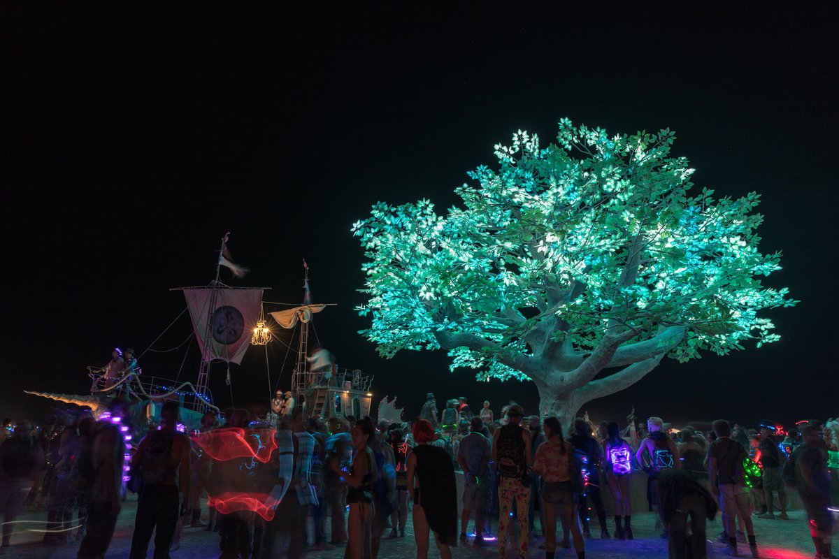 Tree of Ténéré by: Alexander Green, Mark Slee, Zachary Smith, and Patrick Deegan from: San Francisco, CA