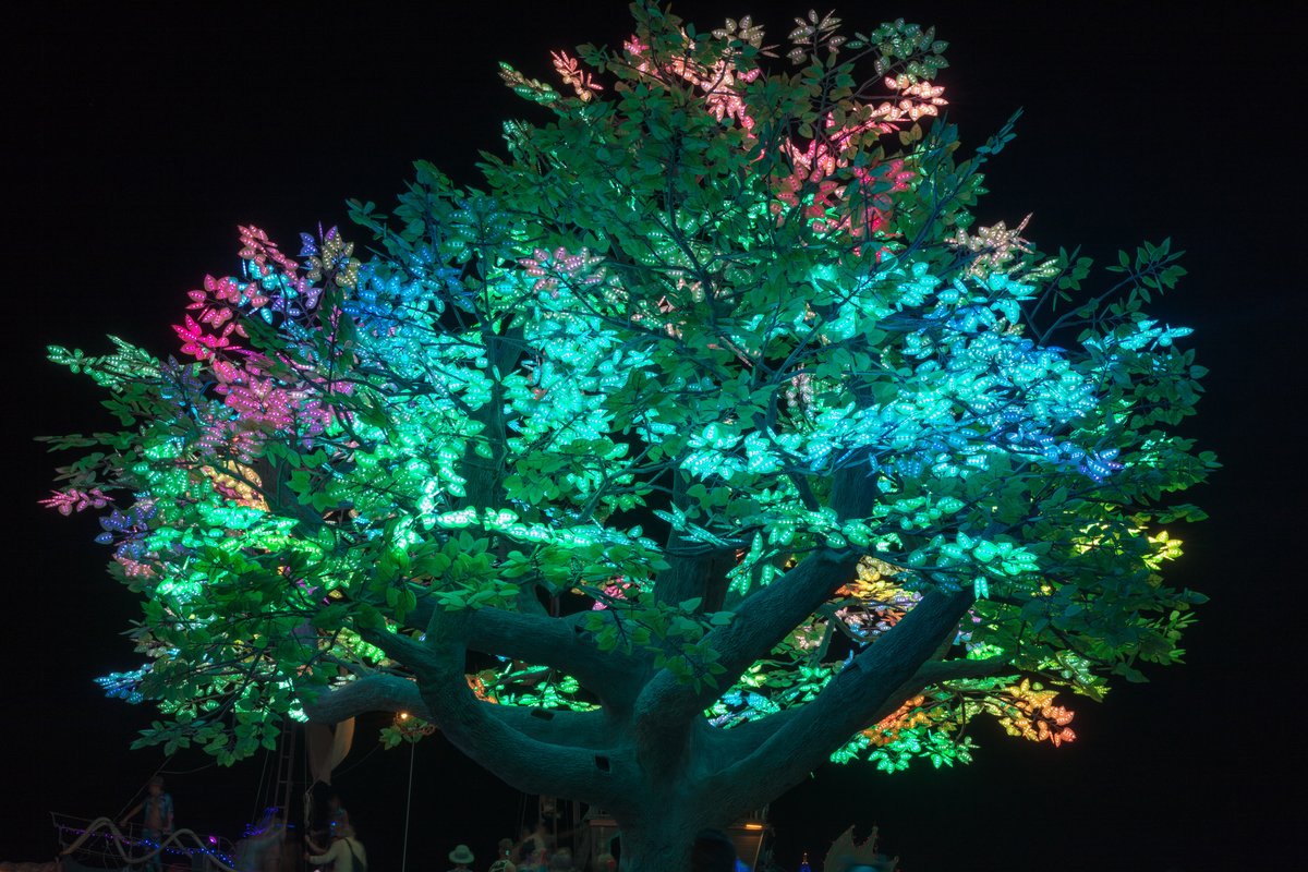 Tree of Ténéré by: Alexander Green, Mark Slee, Zachary Smith, and Patrick Deegan from: San Francisco, CA
