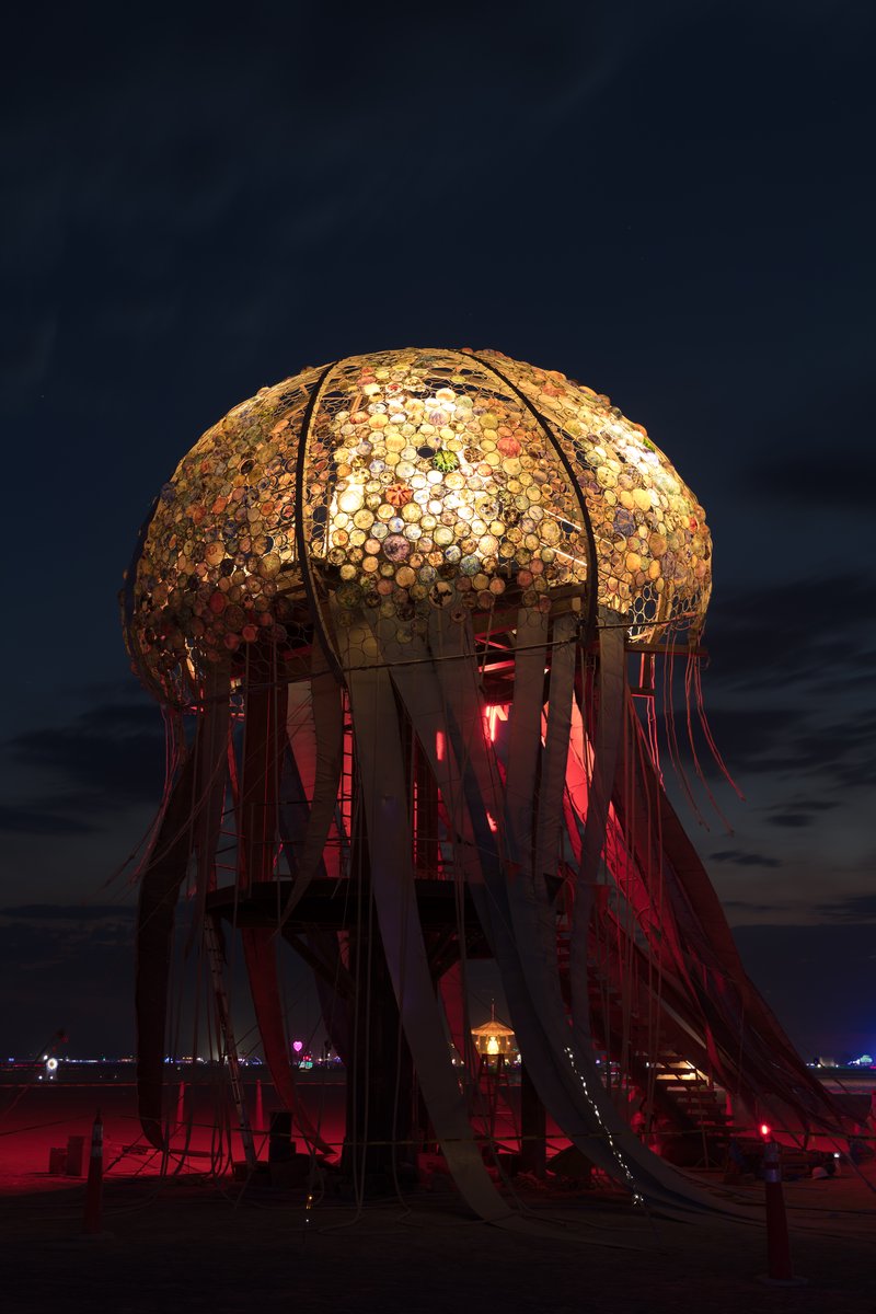 Bloom by: Peter Hazel from: Reno, NV