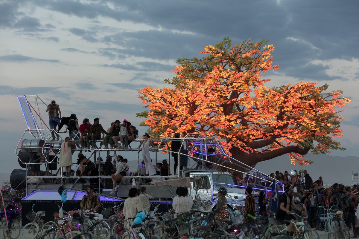 Tree of Ténéré by: Alexander Green, Mark Slee, Zachary Smith, and Patrick Deegan from: San Francisco, CA