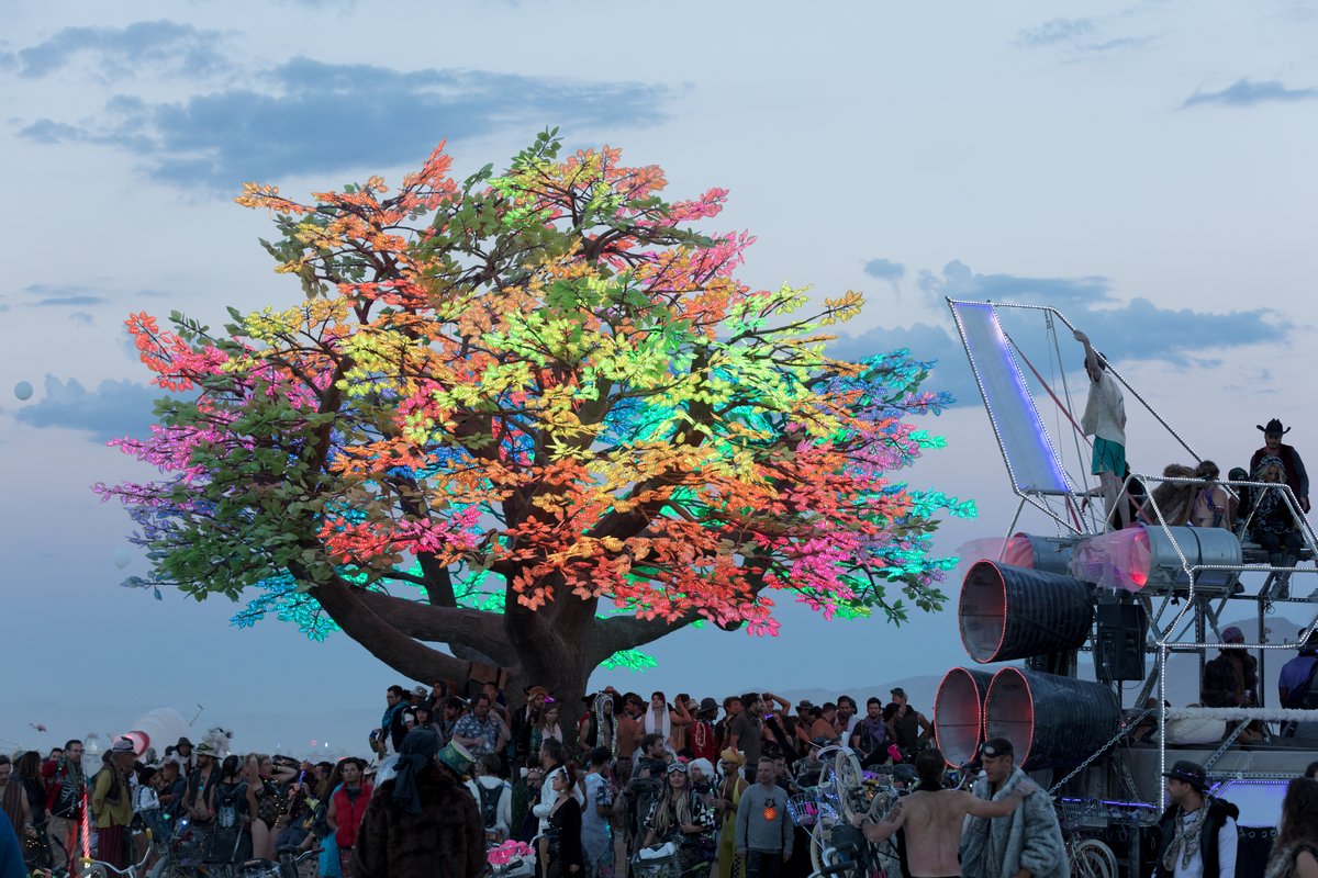 Tree of Ténéré by: Alexander Green, Mark Slee, Zachary Smith, and Patrick Deegan from: San Francisco, CA