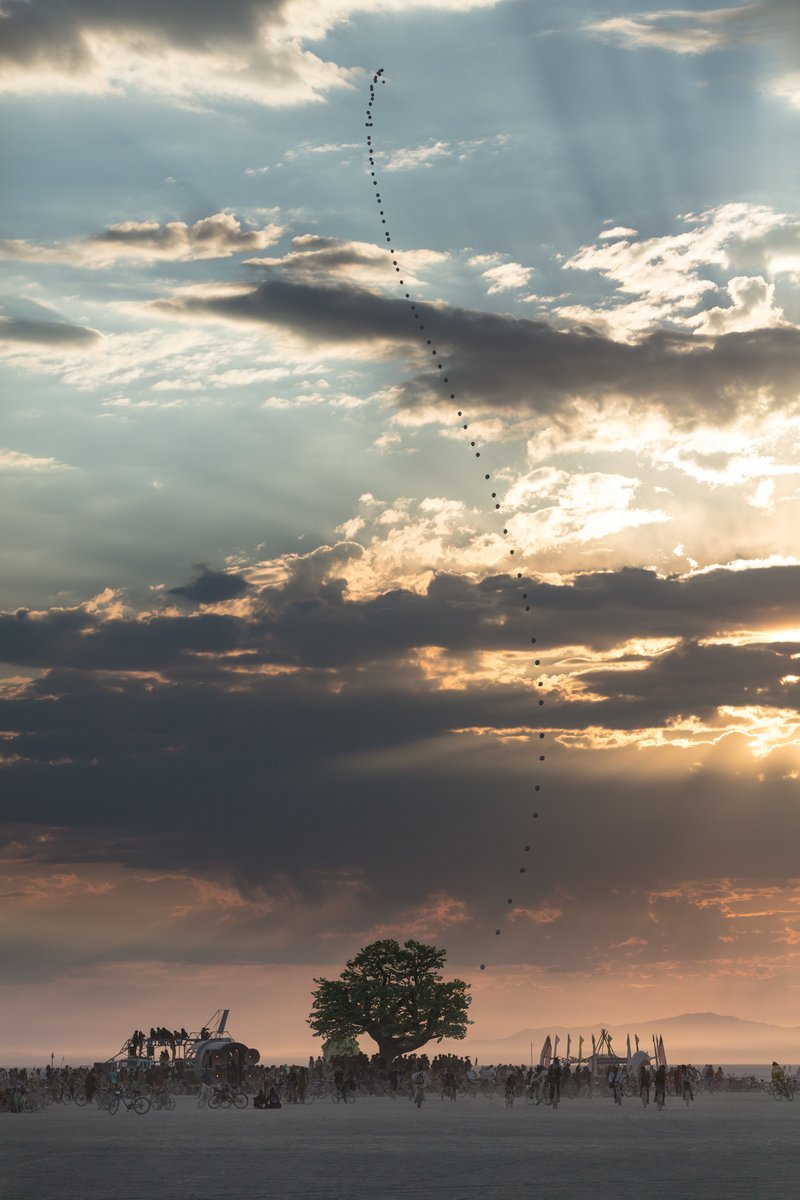 Tree of Ténéré by: Alexander Green, Mark Slee, Zachary Smith, and Patrick Deegan from: San Francisco, CA