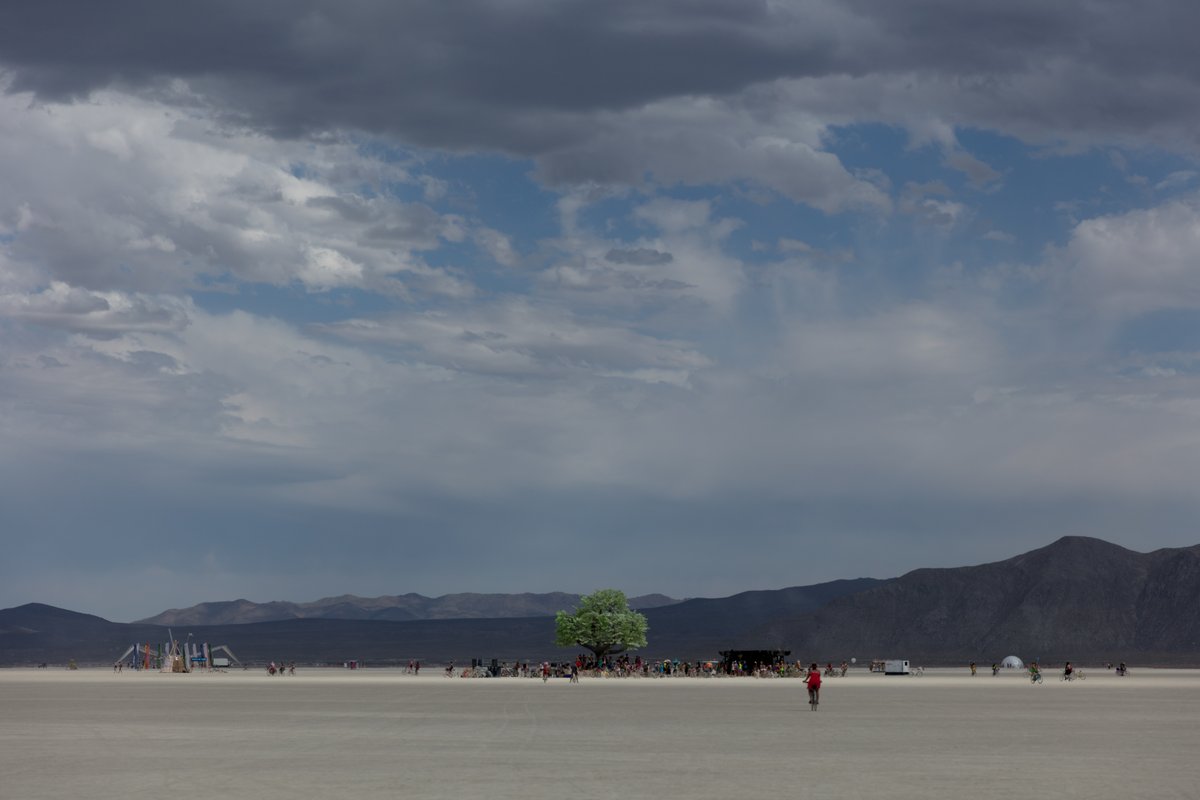Tree of Ténéré by: Alexander Green, Mark Slee, Zachary Smith, and Patrick Deegan from: San Francisco, CA