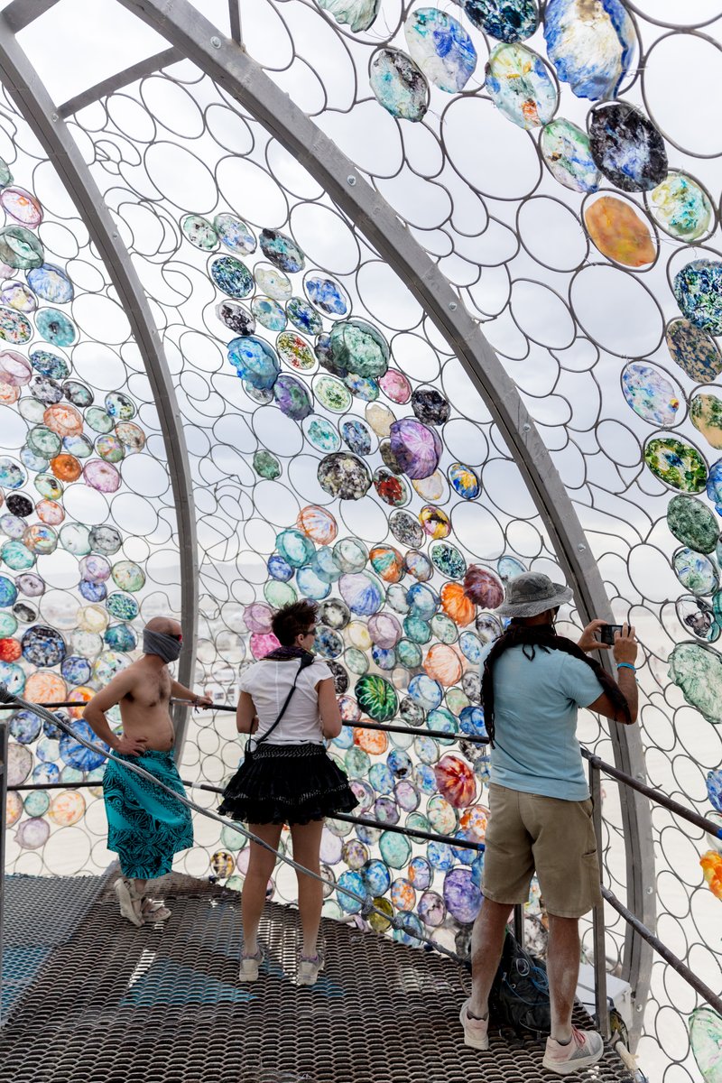 Bloom by: Peter Hazel from: Reno, NV