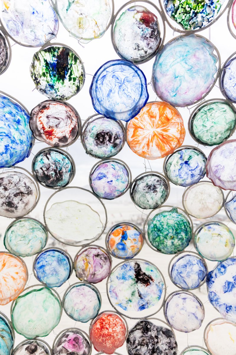 Bloom by: Peter Hazel from: Reno, NV