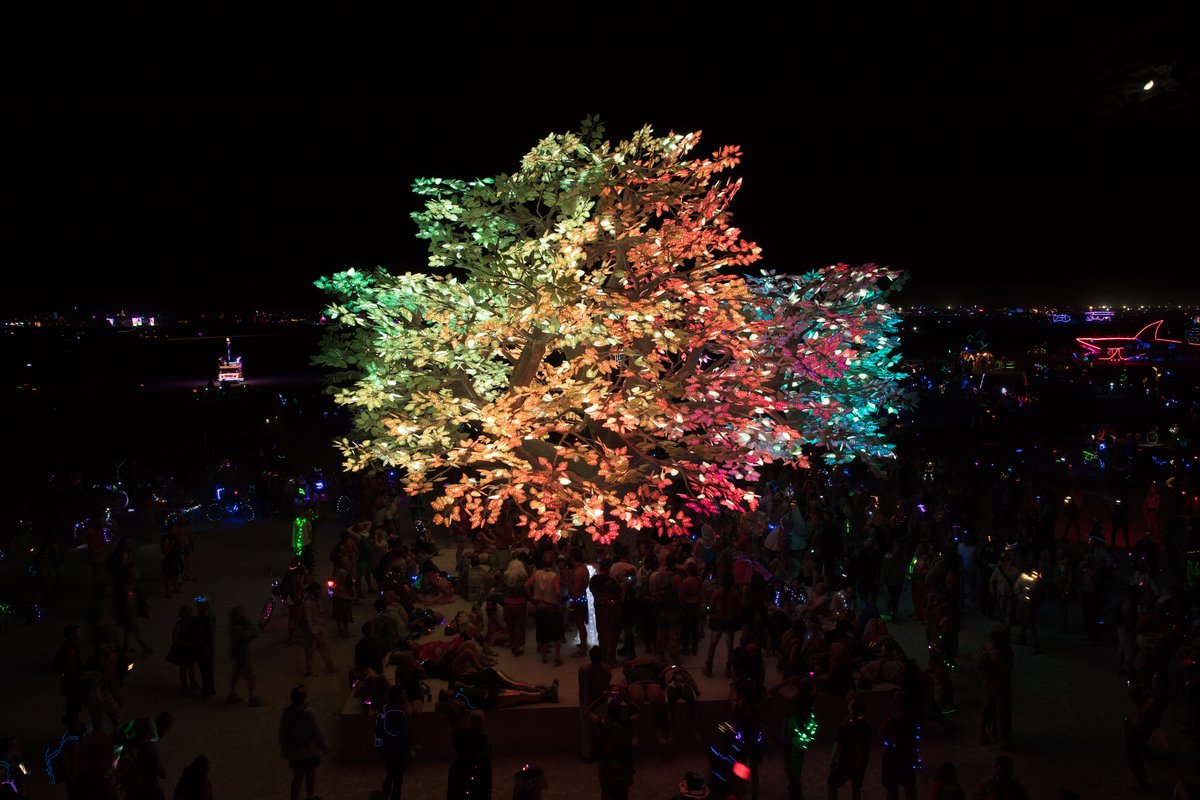 Tree of Ténéré by: Alexander Green, Mark Slee, Zachary Smith, and Patrick Deegan from: San Francisco, CA