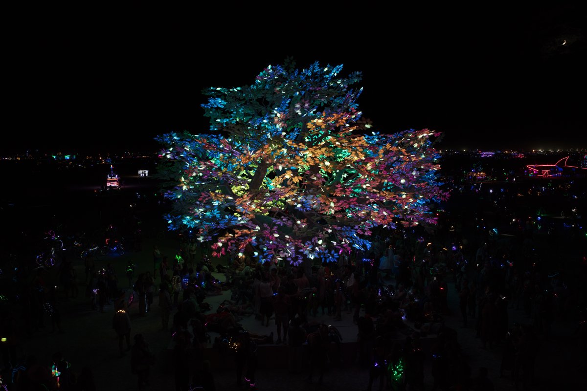 Tree of Ténéré by: Alexander Green, Mark Slee, Zachary Smith, and Patrick Deegan from: San Francisco, CA