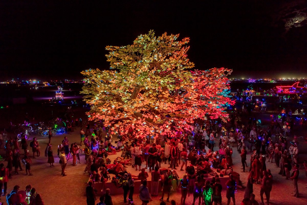 Tree of Ténéré by: Alexander Green, Mark Slee, Zachary Smith, and Patrick Deegan from: San Francisco, CA