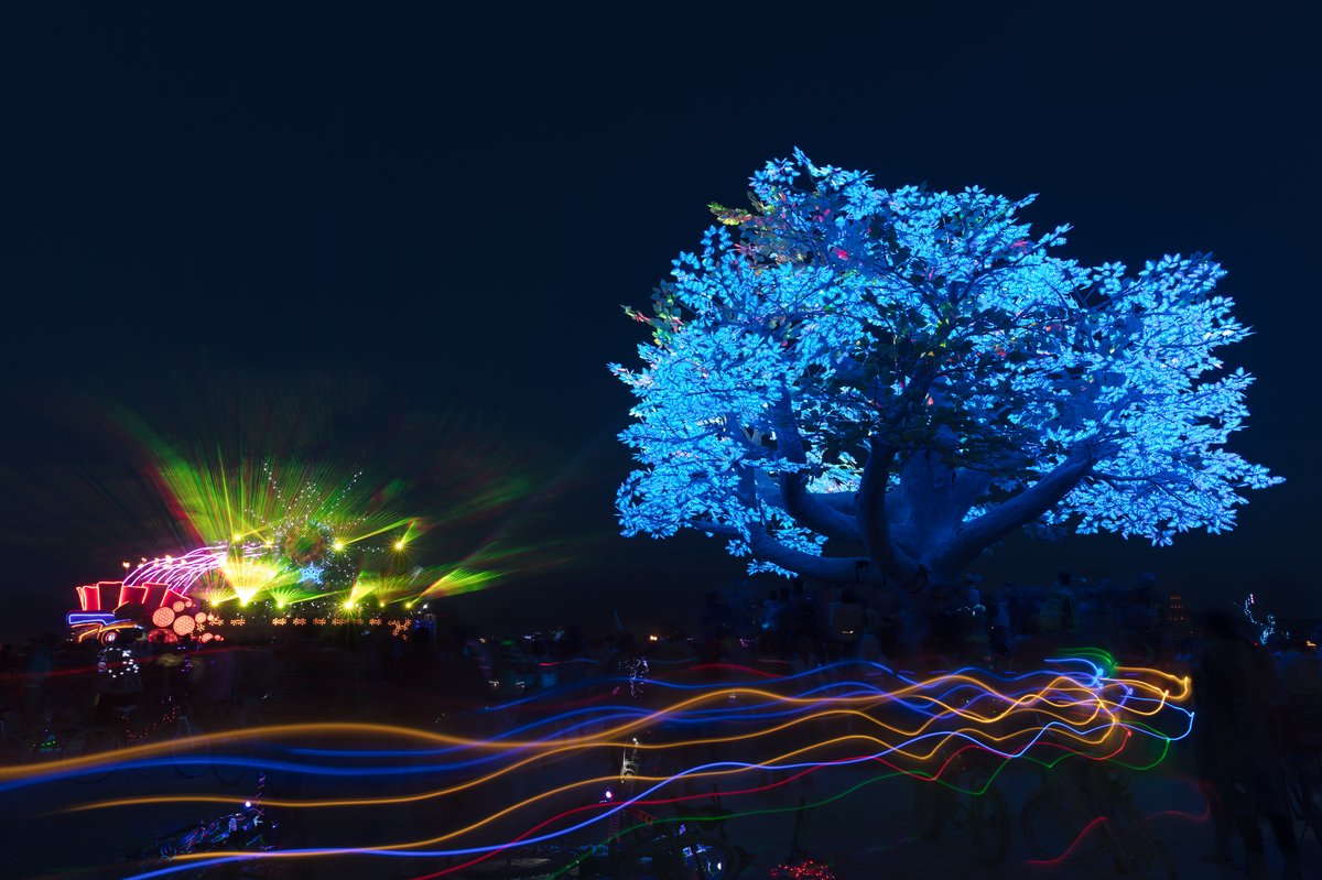 Tree of Ténéré by: Alexander Green, Mark Slee, Zachary Smith, and Patrick Deegan from: San Francisco, CA