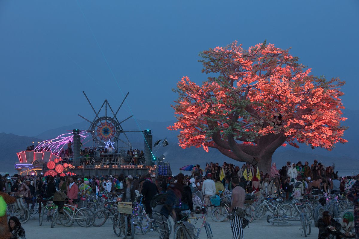 Tree of Ténéré by: Alexander Green, Mark Slee, Zachary Smith, and Patrick Deegan from: San Francisco, CA