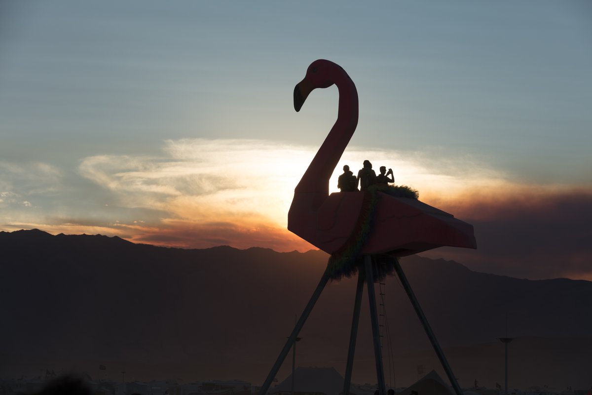 Phoenicopterus Rex by: Josh Zubko from: San Francisco, CA