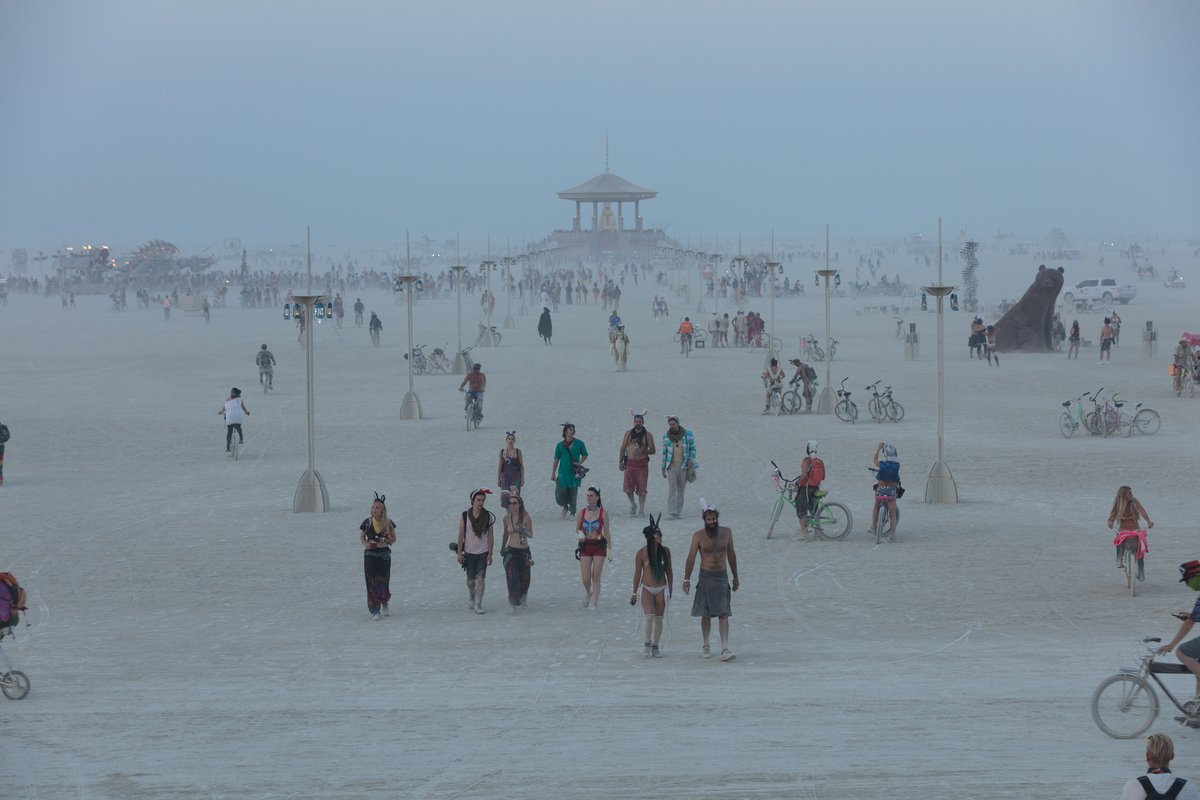 View From The Jellyfish To The Man