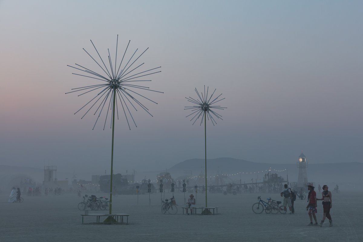 Electric Dandelions by Abram Santa Cruz (Thanks Shane and Emmett)