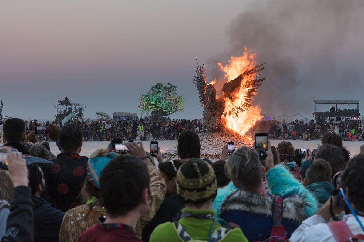 Phoenix Rising Burn by: Nicholas Palmer from: South Lake Tahoe, CA