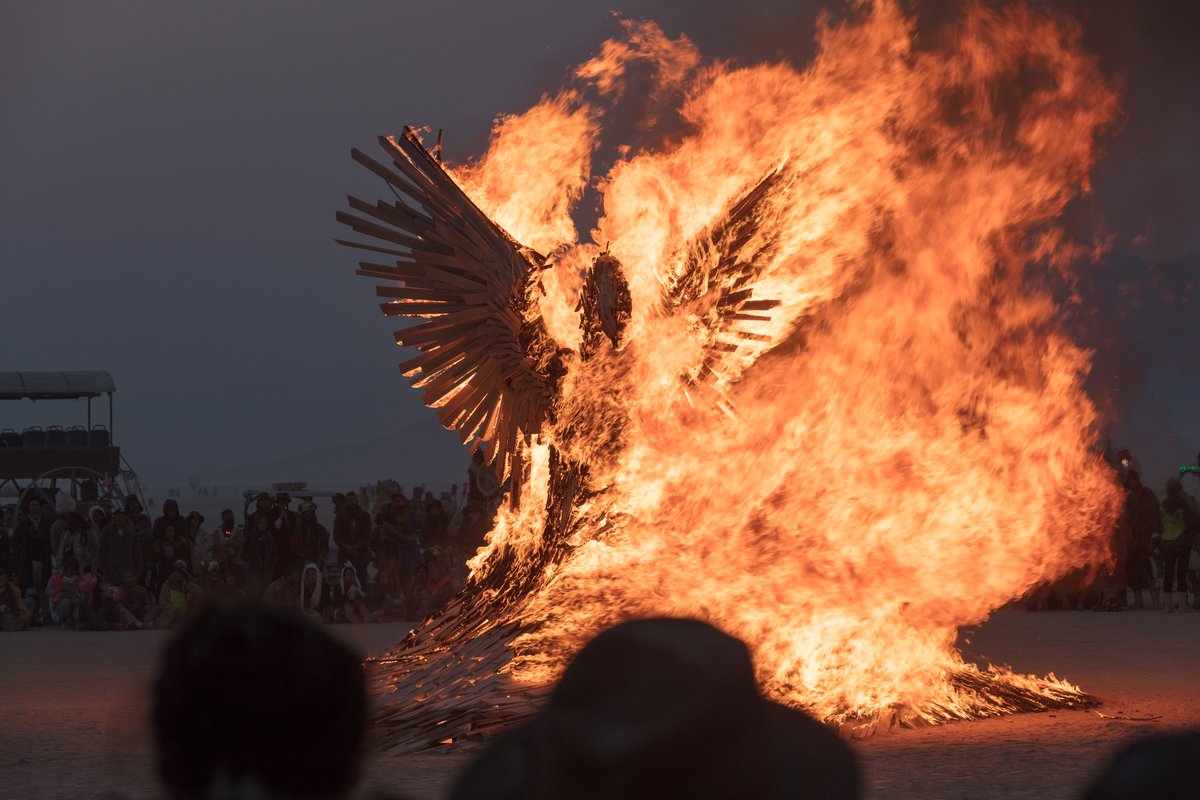 Phoenix Rising Burn by: Nicholas Palmer from: South Lake Tahoe, CA