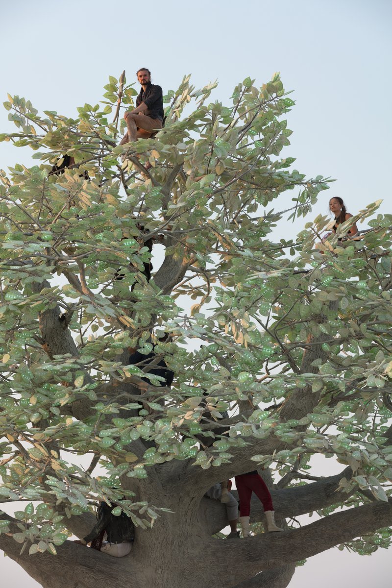Tree of Ténéré by: Alexander Green, Mark Slee, Zachary Smith, and Patrick Deegan from: San Francisco, CA