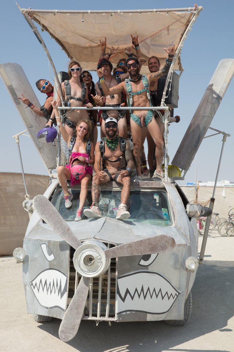 Naked Skydivers