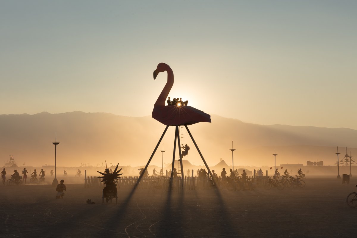 Phoenicopterus Rex by: Josh Zubko from: San Francisco, CA