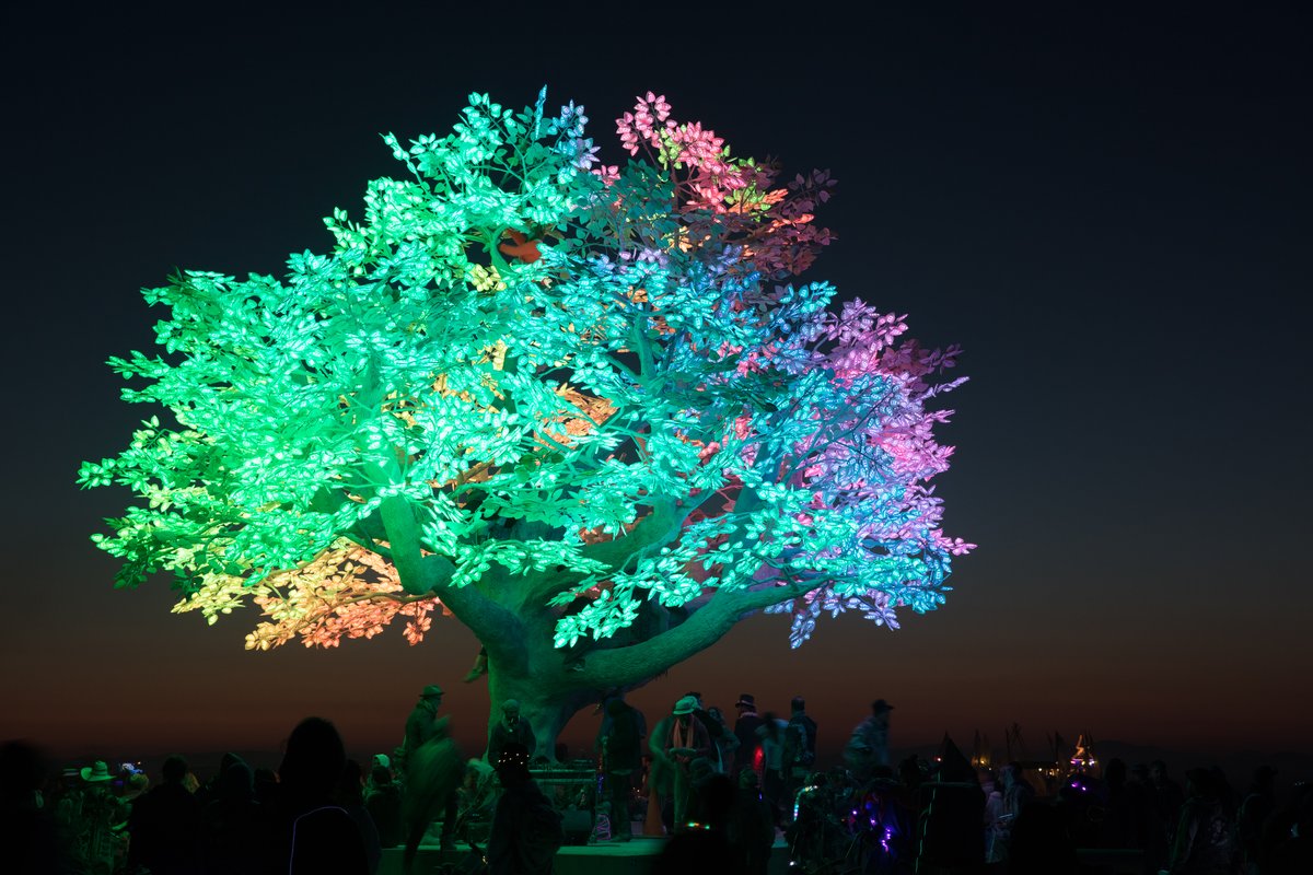 Tree of Ténéré by: Alexander Green, Mark Slee, Zachary Smith, and Patrick Deegan from: San Francisco, CA