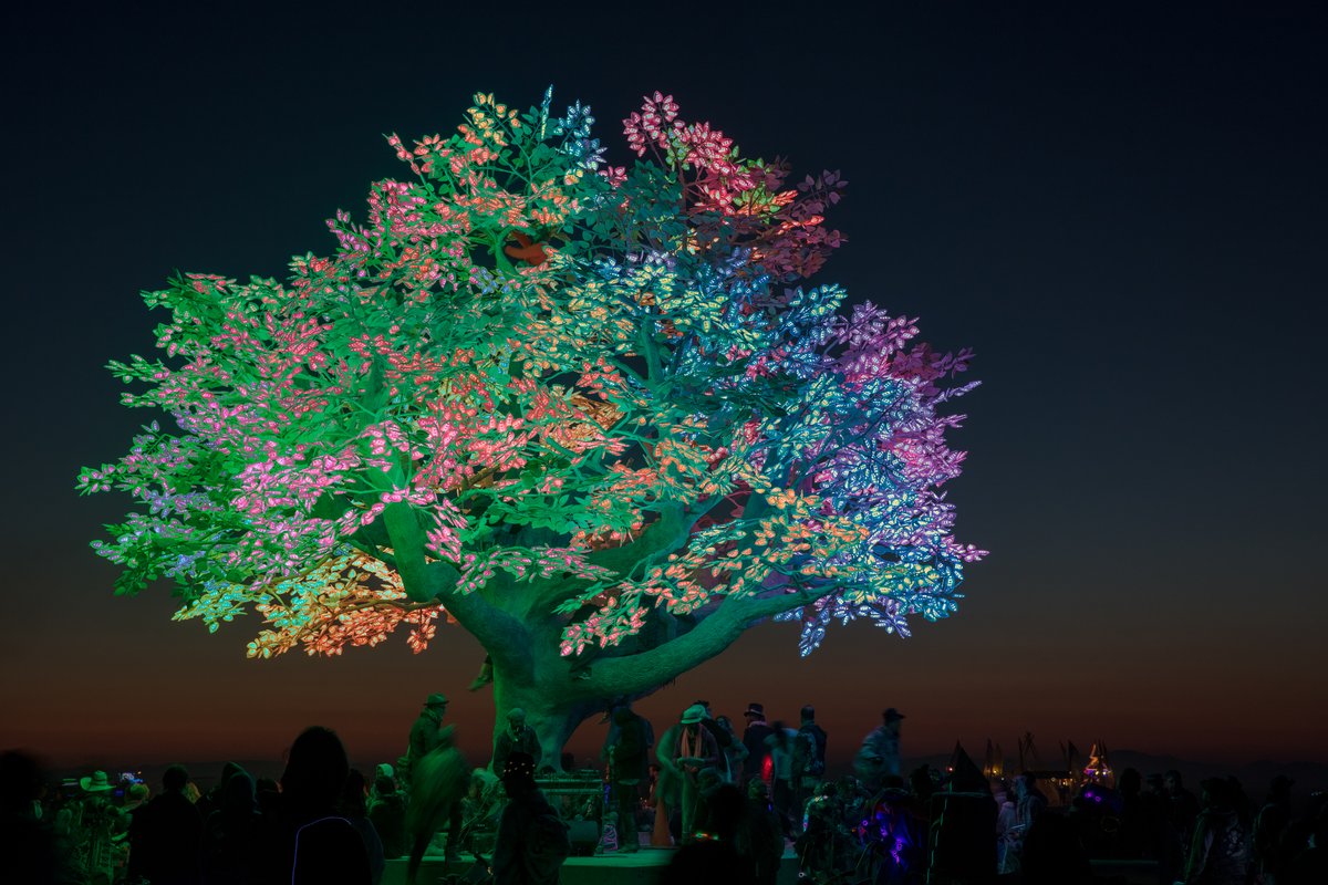 Tree of Ténéré by: Alexander Green, Mark Slee, Zachary Smith, and Patrick Deegan from: San Francisco, CA