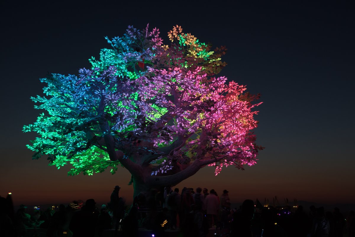 Tree of Ténéré by: Alexander Green, Mark Slee, Zachary Smith, and Patrick Deegan from: San Francisco, CA