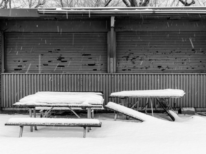Picnic Tables In The Snow