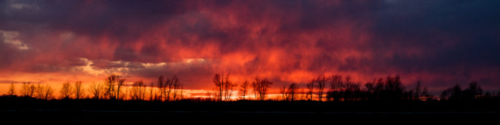 Sunset And Trees