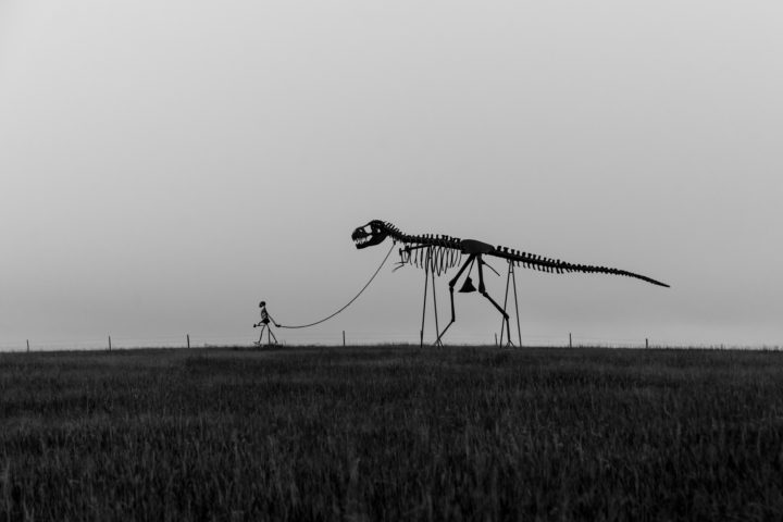 Skeleton Man Walking Skeleton Dinosaur