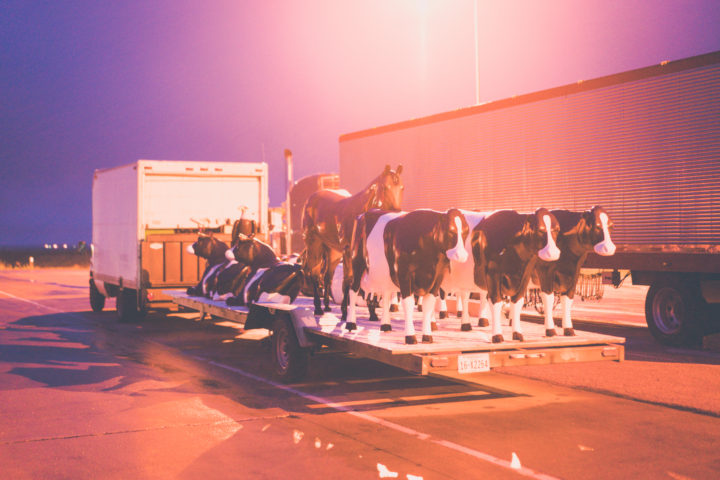 Animal Sculptures On A Trailer