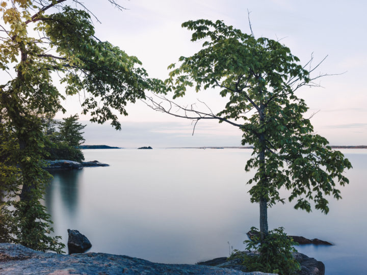 Shoreline At Mallorytown Landing