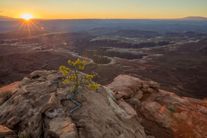 Grand View Point Sunrise
