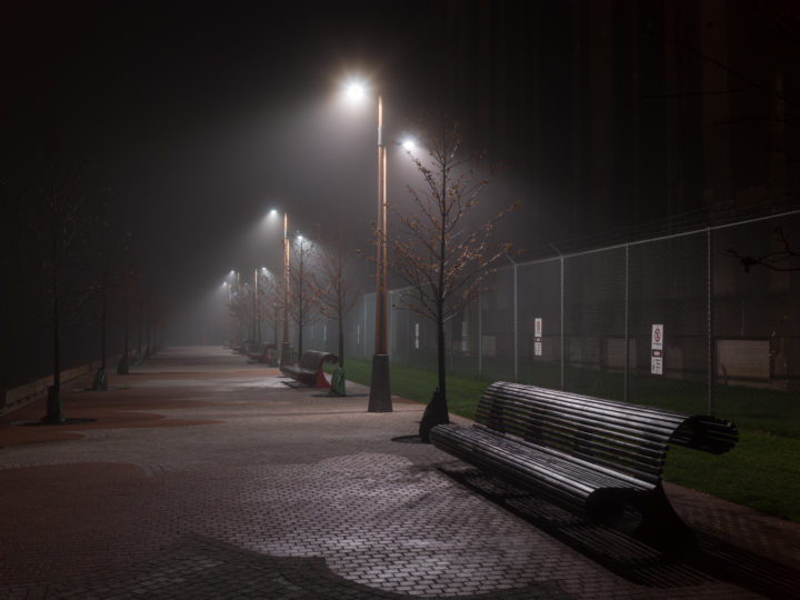 Benches In The Fog