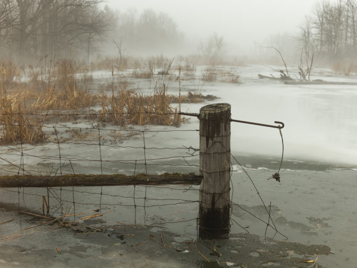 Broken Fence