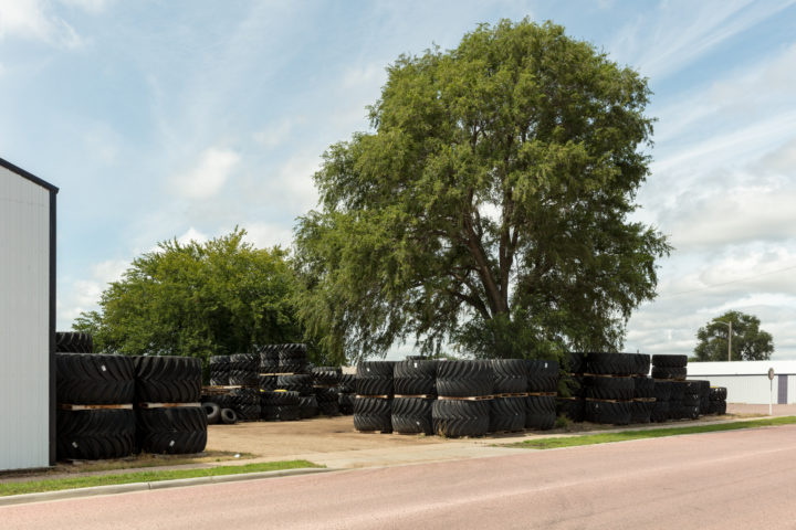 Trees And Tires