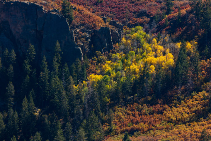 Fall Colour Black Canyon Of The Gunnison 2