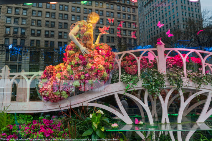 Macy’s Window Display
