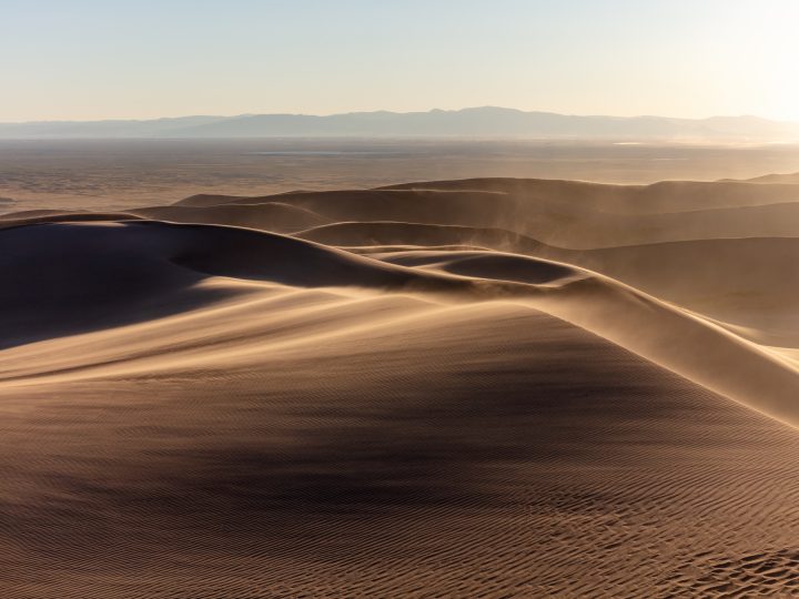 View From High Dune
