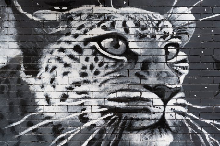 Leopard Wall Art Williamsburg