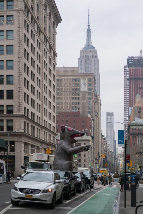 Rat Race