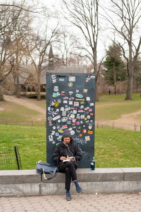 Man Reading In Central Park