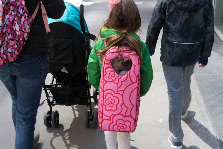 Little Girl Carrying Doll In A Backpack