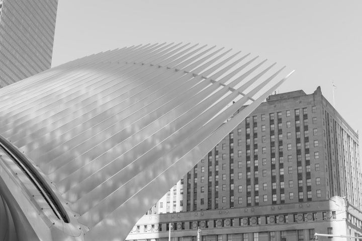 Oculus New York