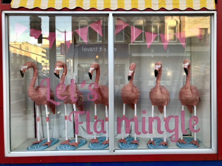 Flamingo Window Display