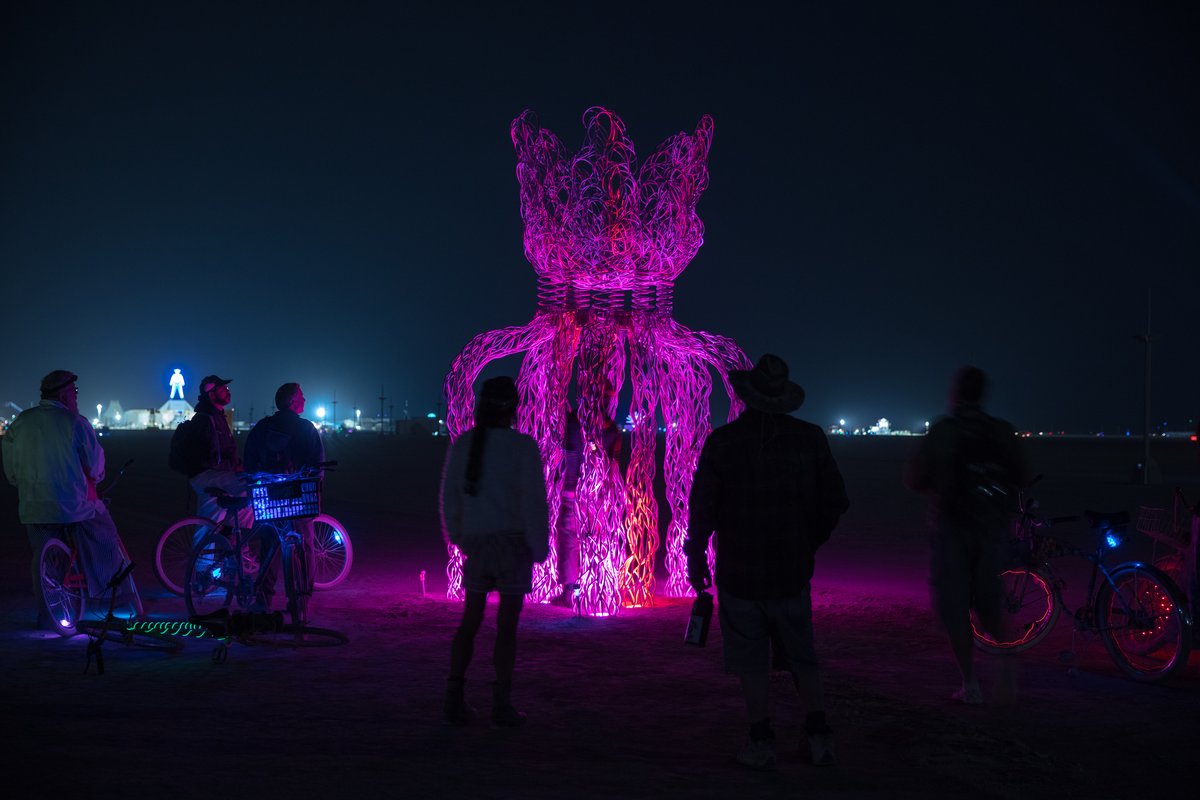 FloBot by: Jessica Levine from: South Lake Tahoe, CA year: 2018 FloBot is an interactive flower-like steel sculpture with a character all her own. She will stand on exposed roots as she evolves into a blossomed being. People will be able to climb up the roots and "get inside her head" bouncing and rocking with the use of large suspension springs. Flo represents the notion of learning to flow with all of the parts of one's self, and finding strength within them. Her roots correlate with all of the deepest parts of ourselves-the buried parts, which make us who we are. Exposing the roots and making them a part of the blossom at the top represents the idea that everything is an integral part of the whole self, even (and especially) the buried parts-not just the pretty flowery surface parts.