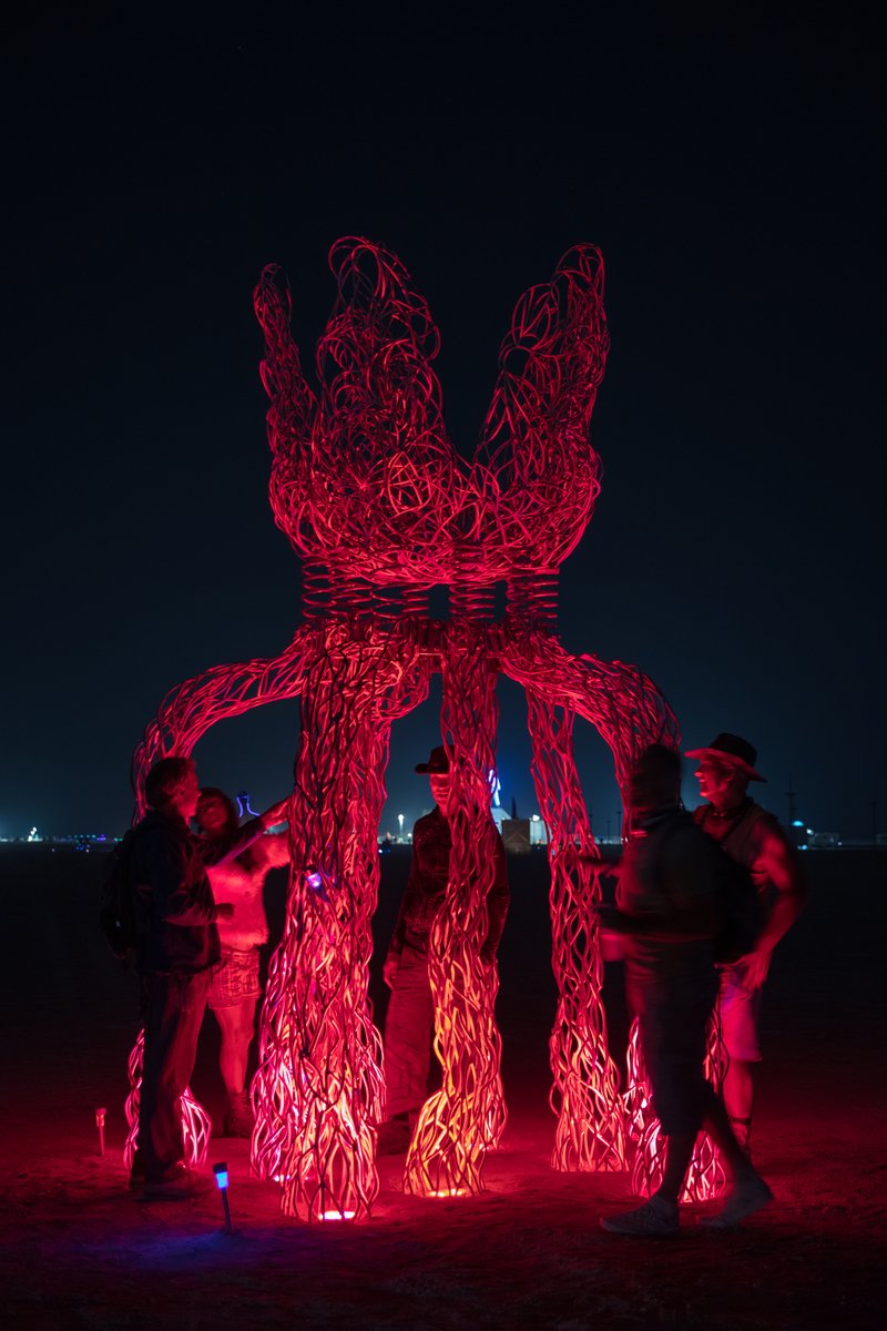 FloBot by: Jessica Levine from: South Lake Tahoe, CA year: 2018 FloBot is an interactive flower-like steel sculpture with a character all her own. She will stand on exposed roots as she evolves into a blossomed being. People will be able to climb up the roots and "get inside her head" bouncing and rocking with the use of large suspension springs. Flo represents the notion of learning to flow with all of the parts of one's self, and finding strength within them. Her roots correlate with all of the deepest parts of ourselves-the buried parts, which make us who we are. Exposing the roots and making them a part of the blossom at the top represents the idea that everything is an integral part of the whole self, even (and especially) the buried parts-not just the pretty flowery surface parts.