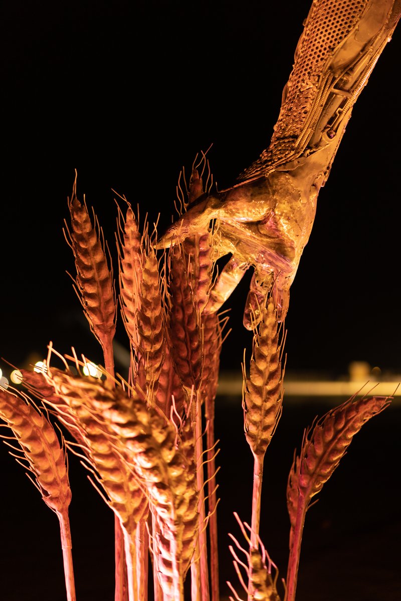 Passage by: Dana Albany from: San Francisco, CA year: 2018 Passage is an installation of a man, in a captive gesture, leisurely walking while its hand sweeps through stalks of wheat. The sculpture clearly highlights characteristics of a human form; muscle, sinuous tendon, sculpted hands, feet. Yet, it's a composite of mechanical debris and steel. Viewers may hypothesize, is this a man? is it part robot? and what is the blurry fine-line between each? The other huge component is the presence of the wheat. It symbolizes abundance, life, fertility. It is food, subsistence, of which without, the human race would be extinct. Viewers can look closer at the inherent beauty of the human form, contemplate mechanics/technology or most importantly, be reminded of our absolute reliance on nature in the end.