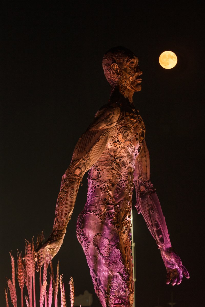 Passage by: Dana Albany from: San Francisco, CA year: 2018 Passage is an installation of a man, in a captive gesture, leisurely walking while its hand sweeps through stalks of wheat. The sculpture clearly highlights characteristics of a human form; muscle, sinuous tendon, sculpted hands, feet. Yet, it's a composite of mechanical debris and steel. Viewers may hypothesize, is this a man? is it part robot? and what is the blurry fine-line between each? The other huge component is the presence of the wheat. It symbolizes abundance, life, fertility. It is food, subsistence, of which without, the human race would be extinct. Viewers can look closer at the inherent beauty of the human form, contemplate mechanics/technology or most importantly, be reminded of our absolute reliance on nature in the end.