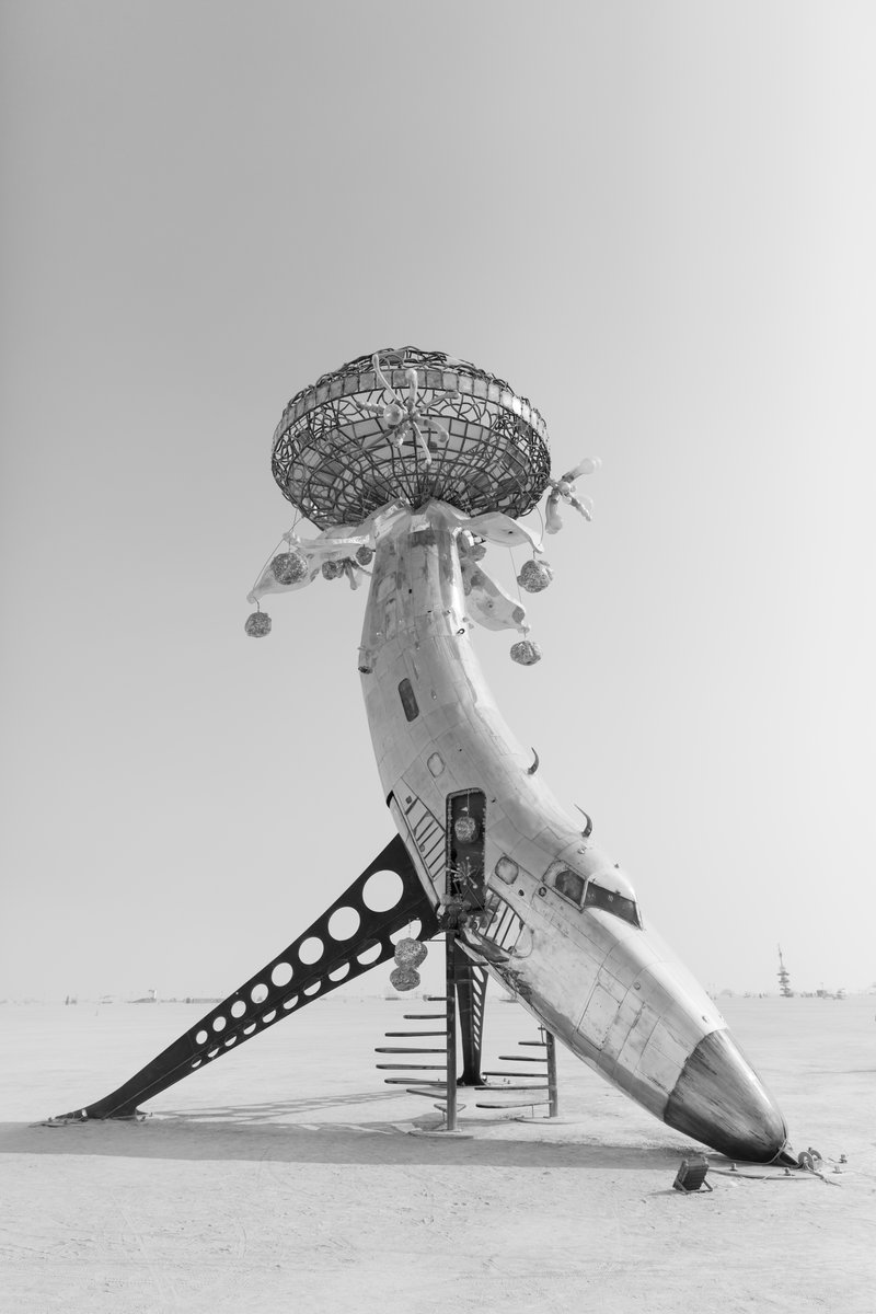 Lodestar by: Randy Polumbo from: New York, NY year: 2018 Lodestar is made of an old military jet that has been involuntarily blossomed into a contemplative flower and gathering place for human pollinators. URL: http://polumbo.com