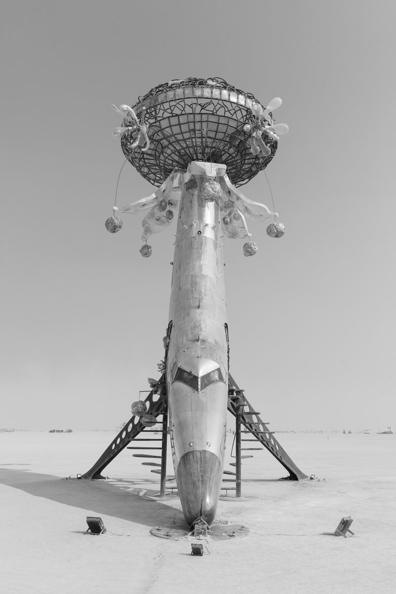 Lodestar by: Randy Polumbo from: New York, NY year: 2018 Lodestar is made of an old military jet that has been involuntarily blossomed into a contemplative flower and gathering place for human pollinators. URL: http://polumbo.com