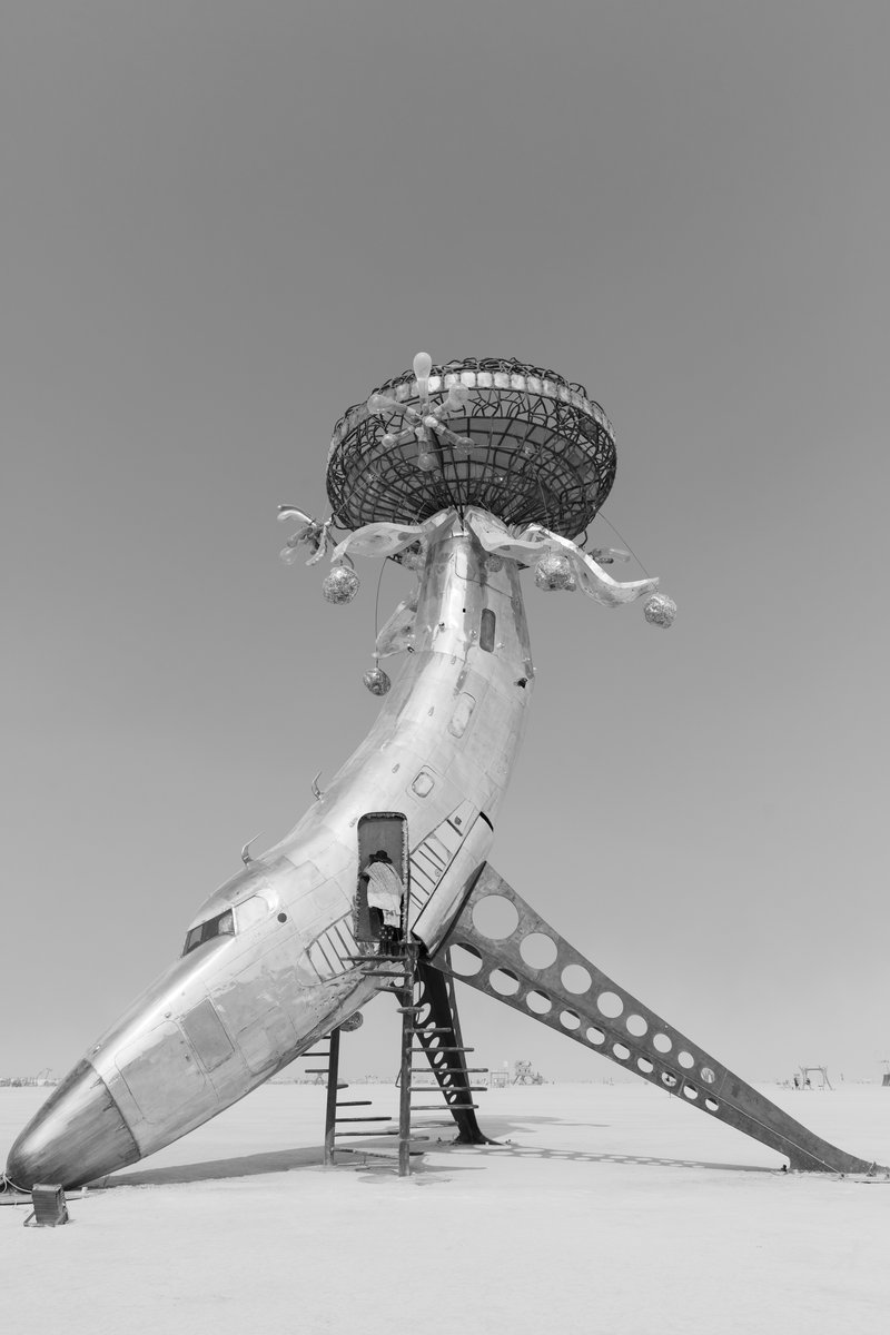 Lodestar by: Randy Polumbo from: New York, NY year: 2018 Lodestar is made of an old military jet that has been involuntarily blossomed into a contemplative flower and gathering place for human pollinators. URL: http://polumbo.com